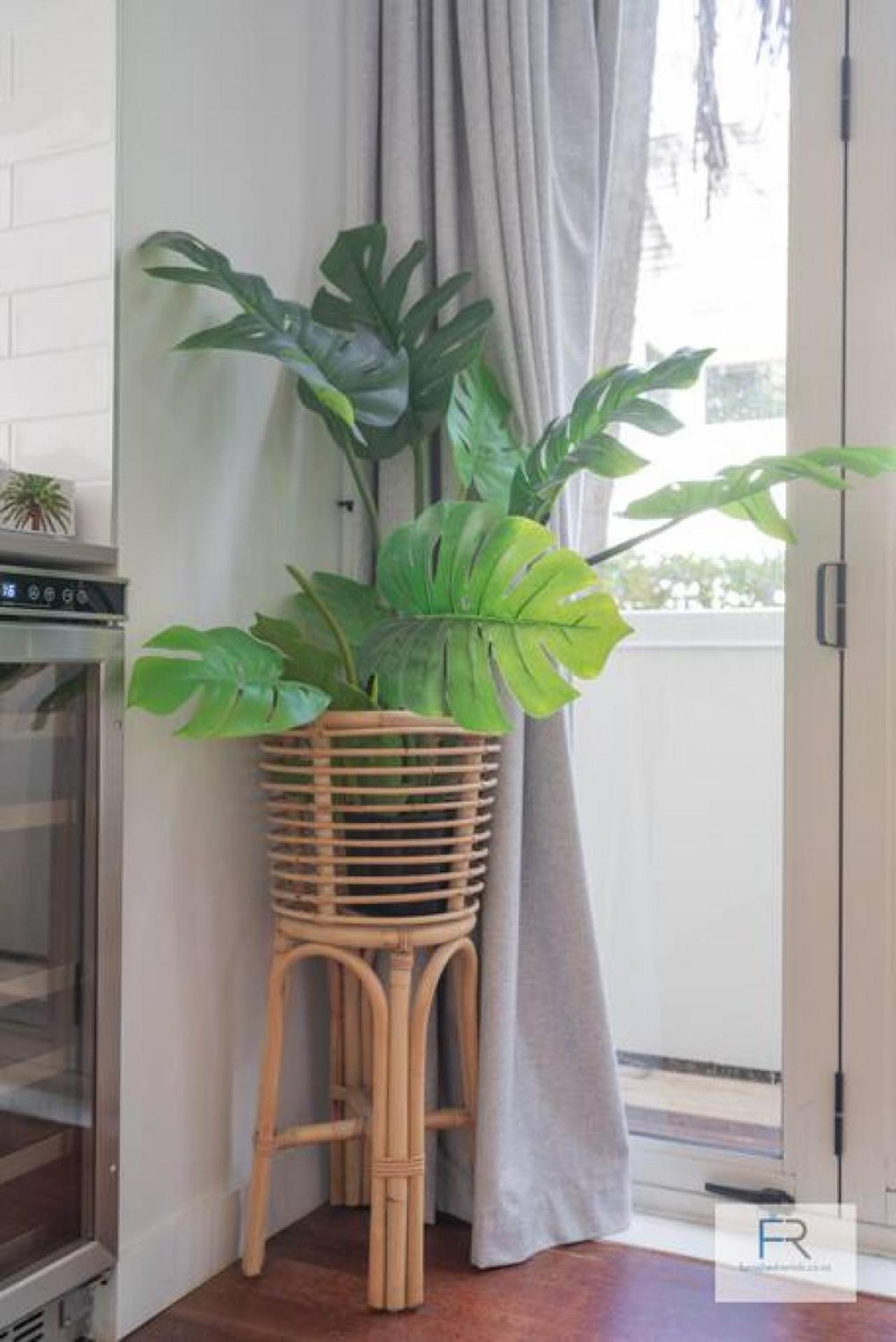 Chic Parnell Townhouse Villa Auckland Exteriör bild